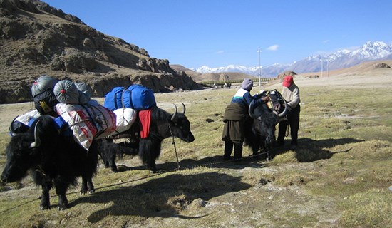 Tibet Trekking from Damxung to Nam Tso Lake