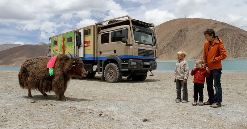 Yak on Qinghai-Tibet Highway
