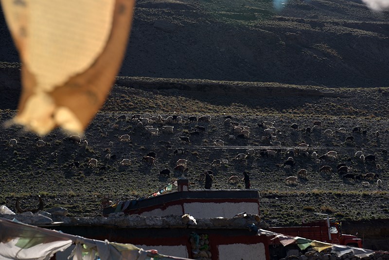 Village in South Tibet