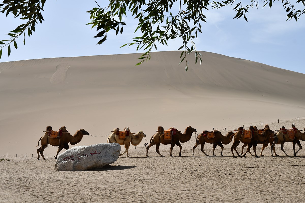 Singing Sand Dunes in Dunhuang | Photo by Liu Bin