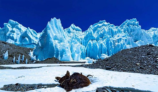 Rongbuk Glacier