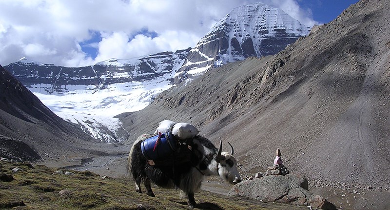 Trekking around Kailash