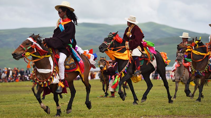 Horse Racing Festival Naqu