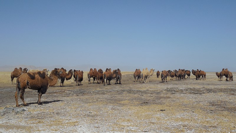 South Xinjiang