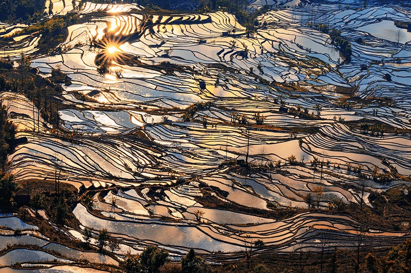 Rice Terrace of Yuanyang